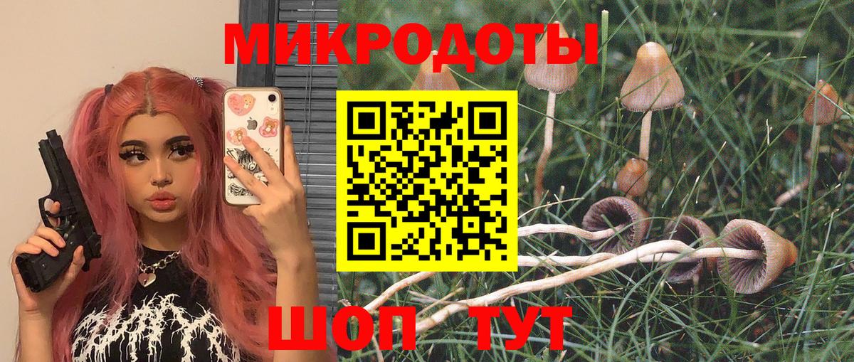 Галлюциногенные грибы Cubensis  купить закладку  Вход с VPN  Канаш  Галлюциногенные грибы Psilocybe 